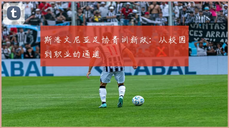 斯洛文尼亚足协青训新政：从校园到职业的通道