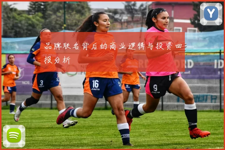 品牌联名背后的商业逻辑与投资回报分析