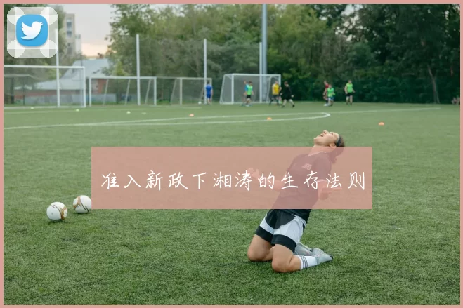 准入新政下湘涛的生存法则